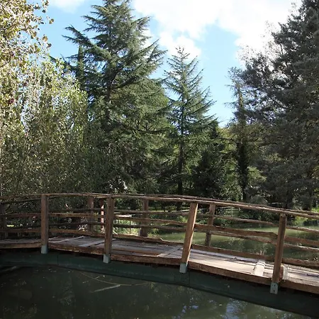 Il Vecchio Mulino Farm stay Massa Martana